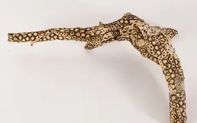 tattooed wood art piece