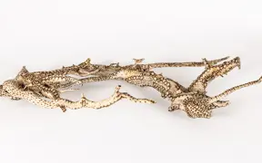 tattooed wood art piece