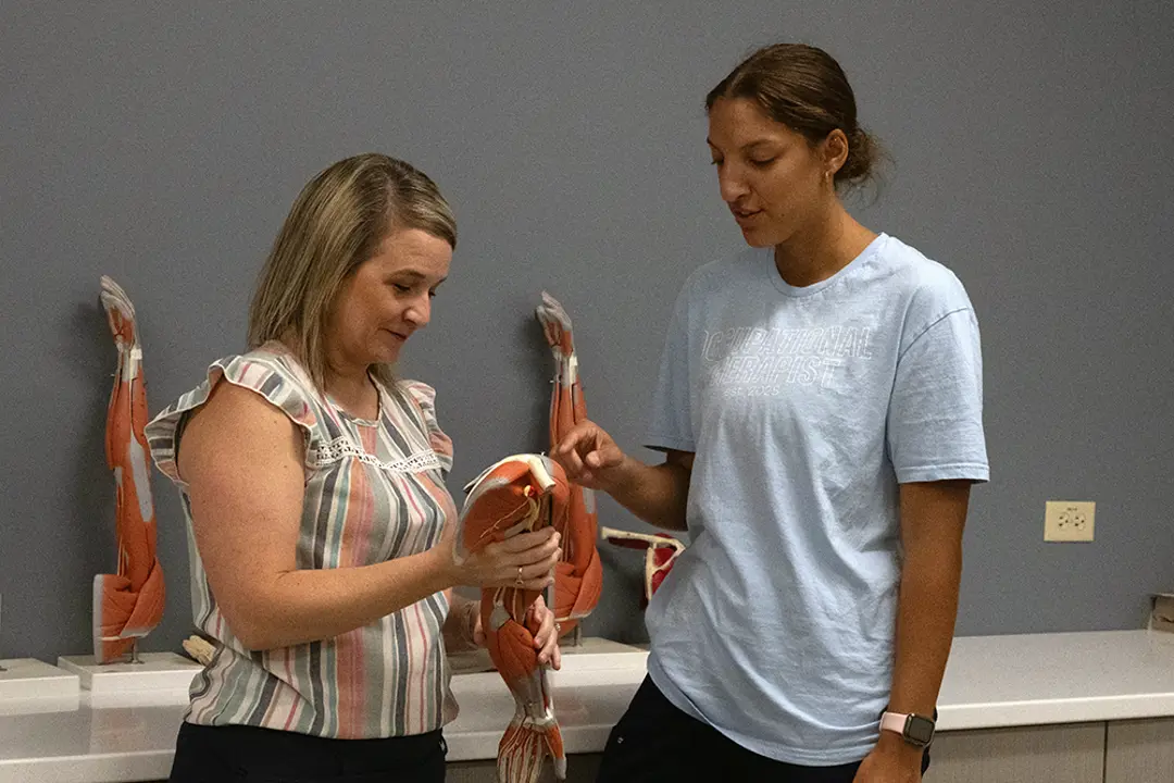 Faculty showing student a hand and arm model with muscles